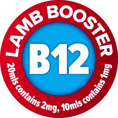 Revive B12 Lamb Booster